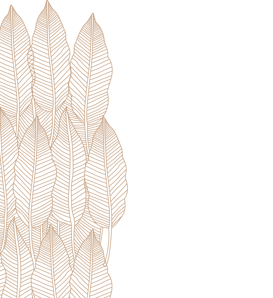 La Finca Esprit Jardín