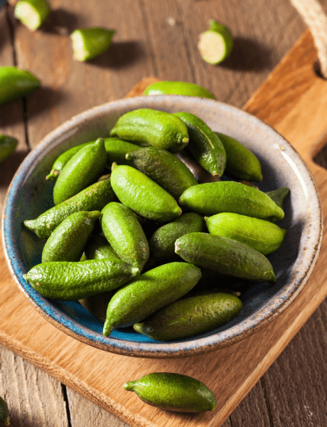 Nuestra Historia Esprit Jardín