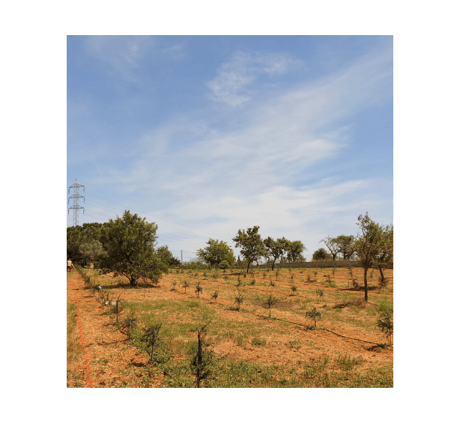 Nuestra Historia Esprit Jardín